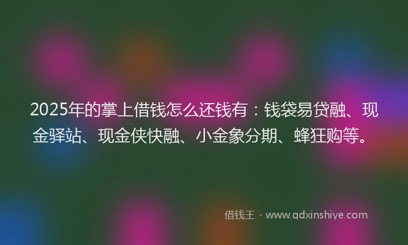 2025年的掌上借钱怎么还钱有：钱袋易贷融、现金驿站、现金侠快融、小金象分期、蜂狂购等。