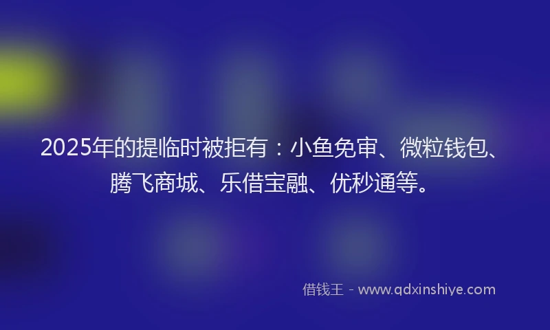 2025年的提临时被拒有：小鱼免审、微粒钱包、腾飞商城、乐借宝融、优秒通等。