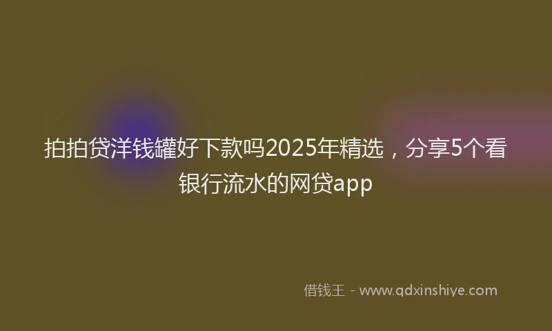 拍拍贷洋钱罐好下款吗2025年精选，分享5个看银行流水的网贷app