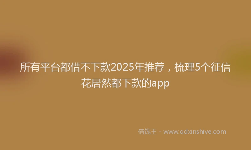 所有平台都借不下款2025年推荐，梳理5个征信花居然都下款的app