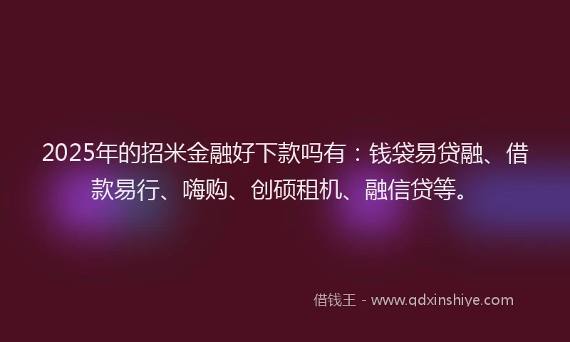 2025年的招米金融好下款吗有：钱袋易贷融、借款易行、嗨购、创硕租机、融信贷等。