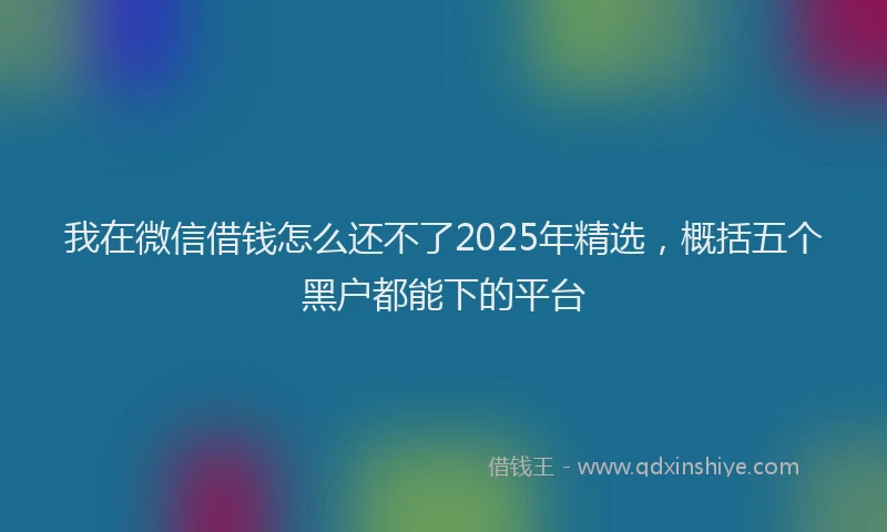 我在微信借钱怎么还不了2025年精选，概括五个黑户都能下的平台