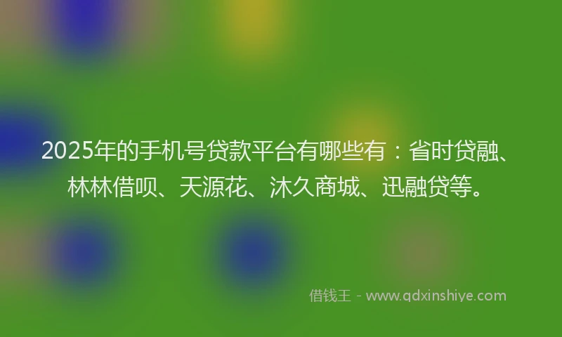 2025年的手机号贷款平台有哪些有：省时贷融、林林借呗、天源花、沐久商城、迅融贷等。