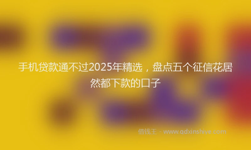 手机贷款通不过2025年精选，盘点五个征信花居然都下款的口子