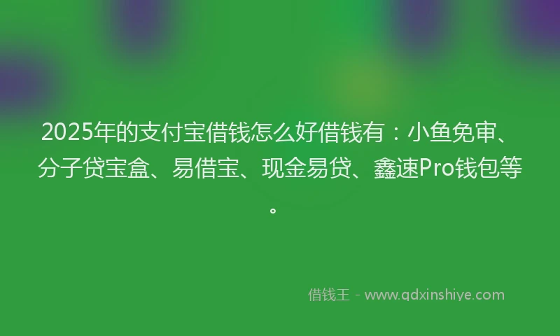 2025年的支付宝借钱怎么好借钱有：小鱼免审、分子贷宝盒、易借宝、现金易贷、鑫速Pro钱包等。