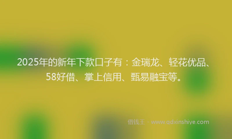2025年的新年下款口子有：金瑞龙、轻花优品、58好借、掌上信用、甄易融宝等。