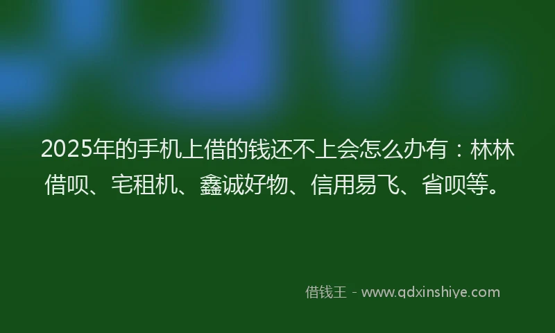 2025年的手机上借的钱还不上会怎么办有：林林借呗、宅租机、鑫诚好物、信用易飞、省呗等。