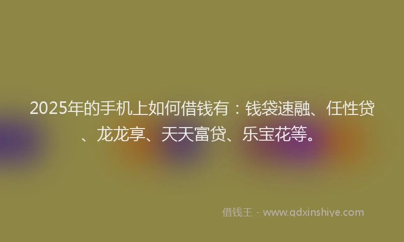 2025年的手机上如何借钱有：钱袋速融、任性贷、龙龙享、天天富贷、乐宝花等。