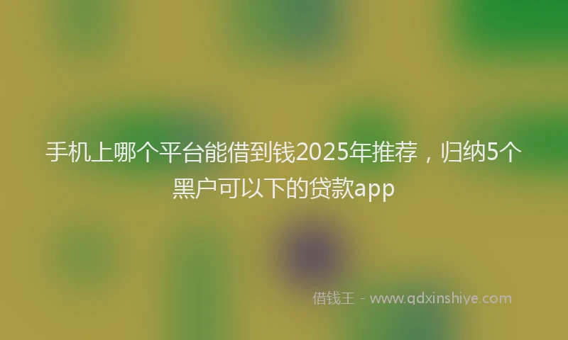 手机上哪个平台能借到钱2025年推荐，归纳5个黑户可以下的贷款app