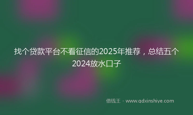 找个贷款平台不看征信的2025年推荐，总结五个2024放水口子