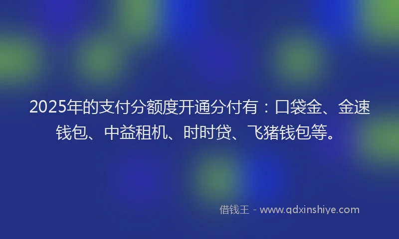 2025年的支付分额度开通分付有：口袋金、金速钱包、中益租机、时时贷、飞猪钱包等。