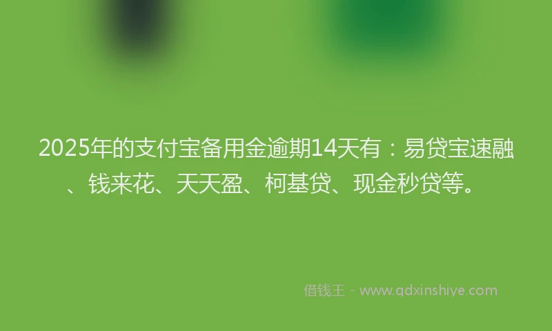 2025年的支付宝备用金逾期14天有：易贷宝速融、钱来花、天天盈、柯基贷、现金秒贷等。