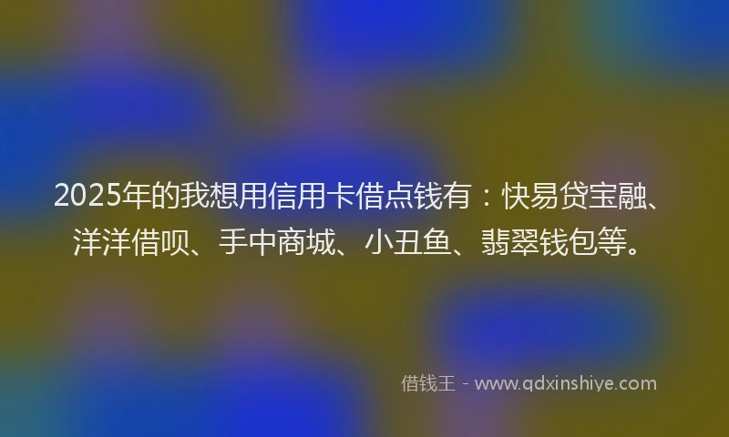2025年的我想用信用卡借点钱有：快易贷宝融、洋洋借呗、手中商城、小丑鱼、翡翠钱包等。