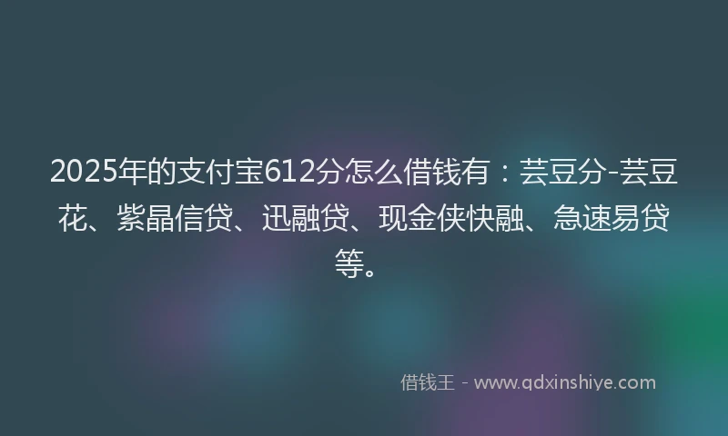 2025年的支付宝612分怎么借钱有：芸豆分-芸豆花、紫晶信贷、迅融贷、现金侠快融、急速易贷等。