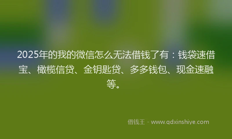 2025年的我的微信怎么无法借钱了有：钱袋速借宝、橄榄信贷、金钥匙贷、多多钱包、现金速融等。