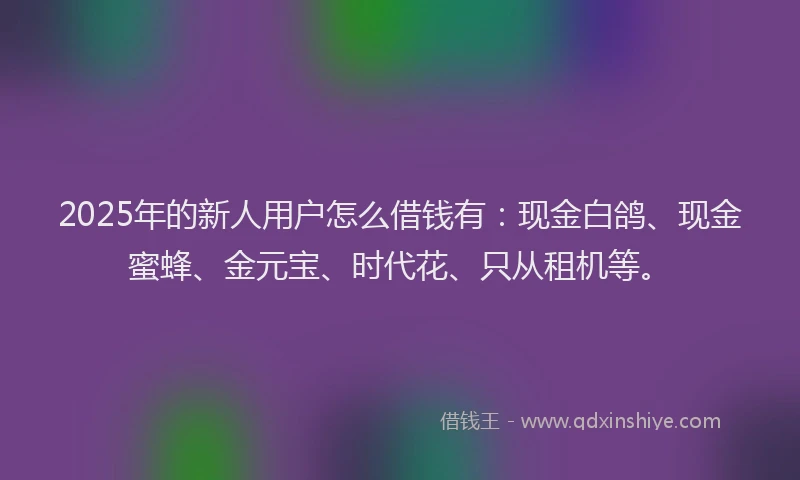 2025年的新人用户怎么借钱有：现金白鸽、现金蜜蜂、金元宝、时代花、只从租机等。