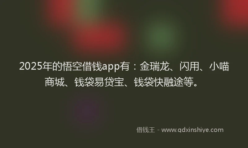 2025年的悟空借钱app有：金瑞龙、闪用、小喵商城、钱袋易贷宝、钱袋快融途等。