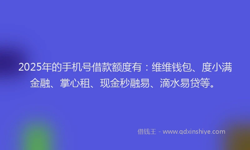 2025年的手机号借款额度有：维维钱包、度小满金融、掌心租、现金秒融易、滴水易贷等。