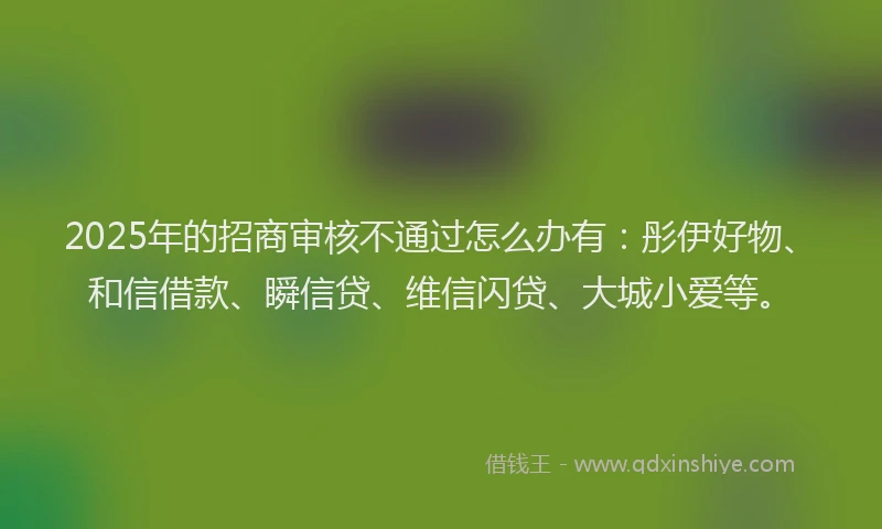 2025年的招商审核不通过怎么办有：彤伊好物、和信借款、瞬信贷、维信闪贷、大城小爱等。