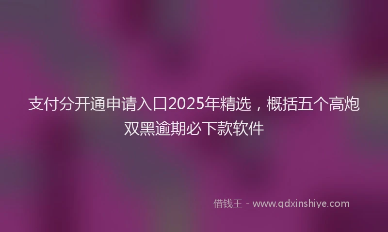 支付分开通申请入口2025年精选，概括五个高炮双黑逾期必下款软件