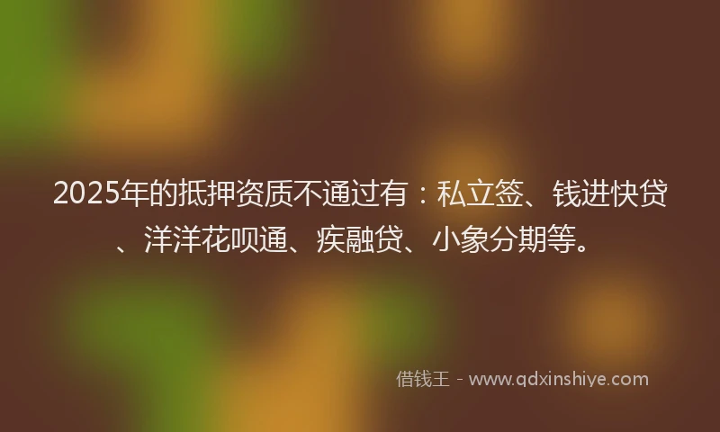2025年的抵押资质不通过有：私立签、钱进快贷、洋洋花呗通、疾融贷、小象分期等。