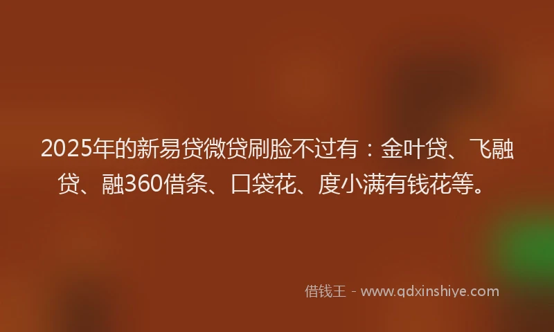 2025年的新易贷微贷刷脸不过有：金叶贷、飞融贷、融360借条、口袋花、度小满有钱花等。