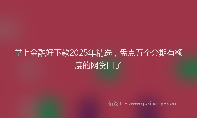 掌上金融好下款2025年精选，盘点五个分期有额度的网贷口子