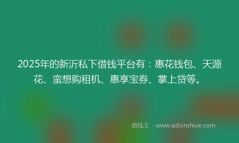 2025年的新沂私下借钱平台有：惠花钱包、天源花、蛮想购租机、惠享宝券、掌上贷等。