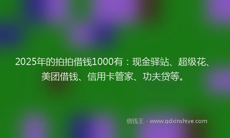 2025年的拍拍借钱1000有：现金驿站、超级花、美团借钱、信用卡管家、功夫贷等。
