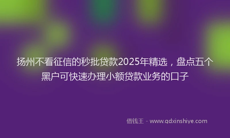 扬州不看征信的秒批贷款2025年精选，盘点五个黑户可快速办理小额贷款业务的口子