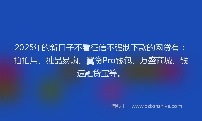 2025年的新口子不看征信不强制下款的网贷有：拍拍用、独品易购、翼贷Pro钱包、万盛商城、钱速融贷宝等。