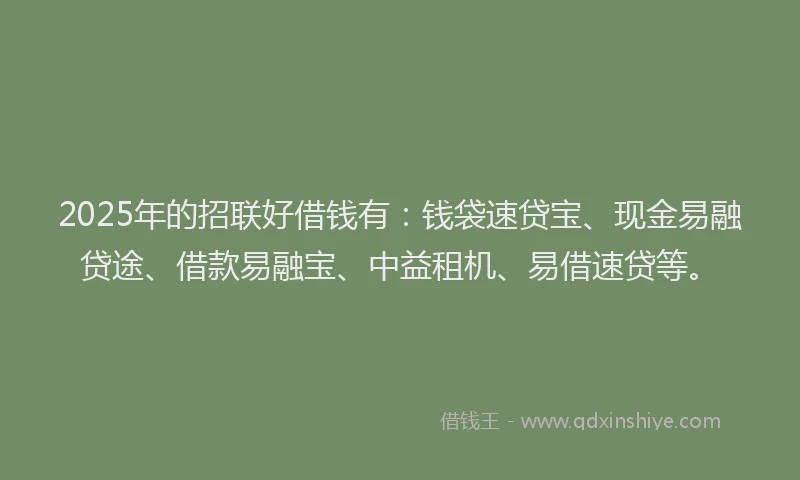 2025年的招联好借钱有：钱袋速贷宝、现金易融贷途、借款易融宝、中益租机、易借速贷等。