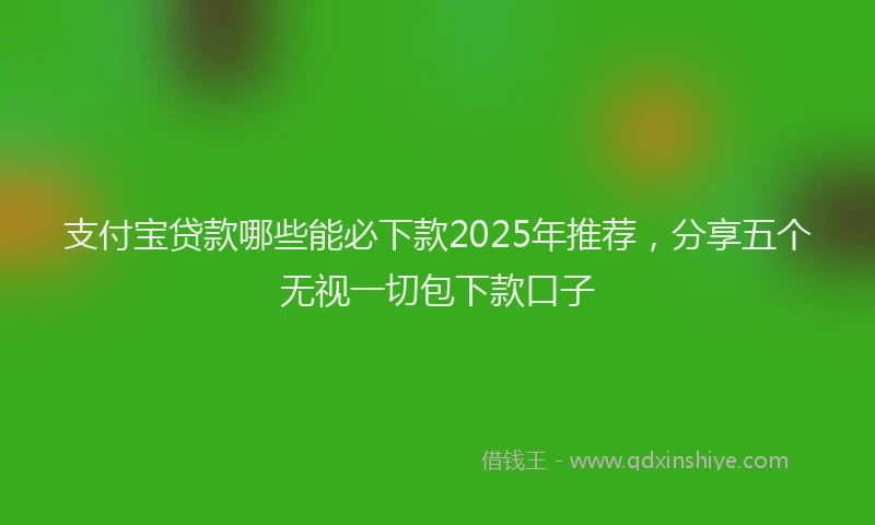 支付宝贷款哪些能必下款2025年推荐，分享五个无视一切包下款口子
