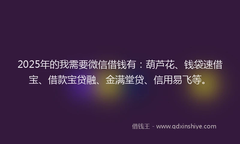 2025年的我需要微信借钱有：葫芦花、钱袋速借宝、借款宝贷融、金满堂贷、信用易飞等。