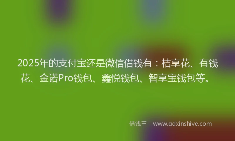 2025年的支付宝还是微信借钱有：桔享花、有钱花、金诺Pro钱包、鑫悦钱包、智享宝钱包等。
