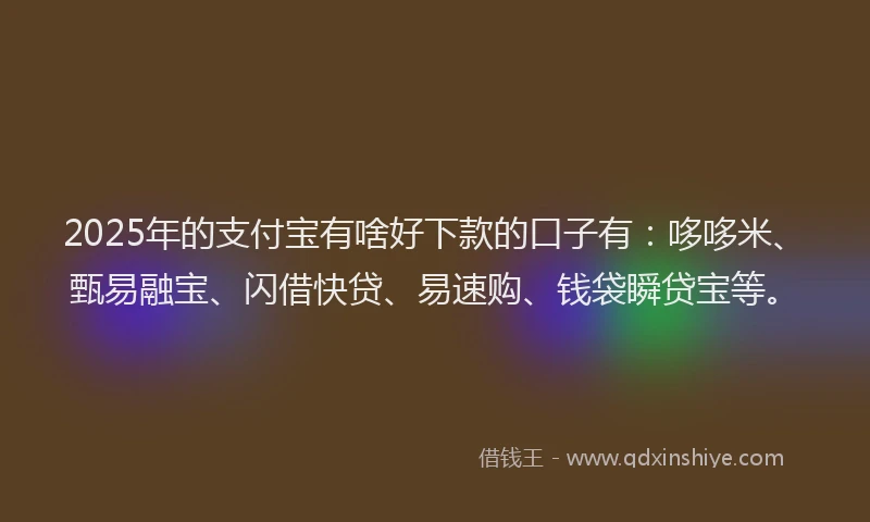 2025年的支付宝有啥好下款的口子有：哆哆米、甄易融宝、闪借快贷、易速购、钱袋瞬贷宝等。