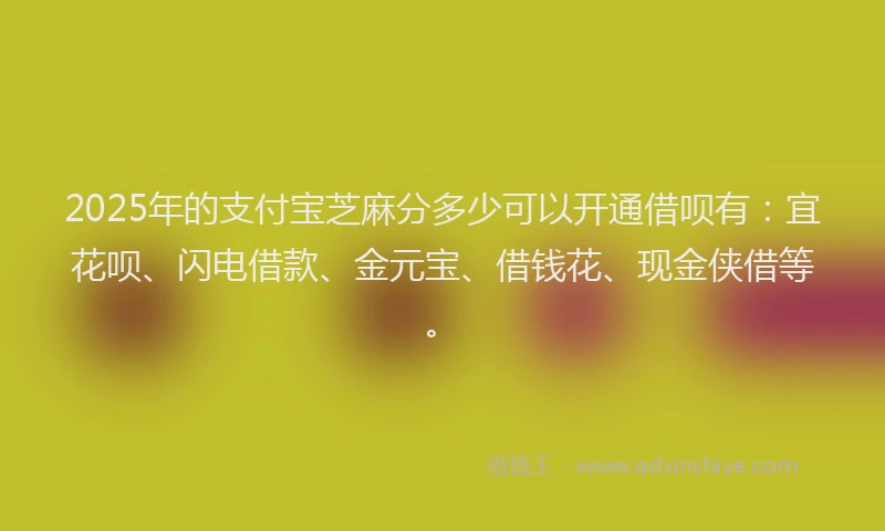 2025年的支付宝芝麻分多少可以开通借呗有：宜花呗、闪电借款、金元宝、借钱花、现金侠借等。