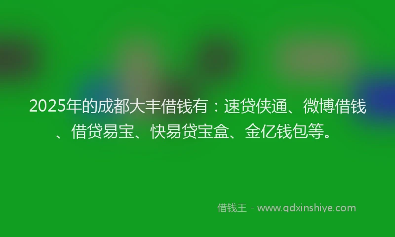 2025年的成都大丰借钱有：速贷侠通、微博借钱、借贷易宝、快易贷宝盒、金亿钱包等。