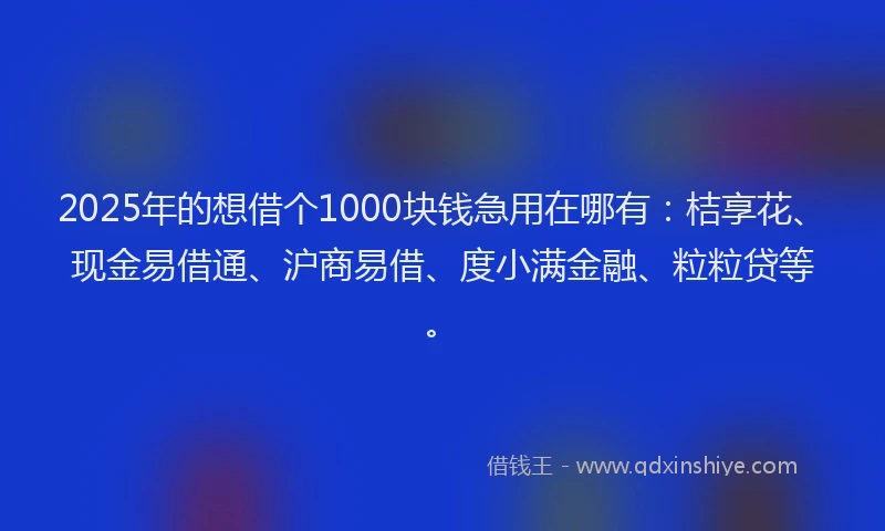 2025年的想借个1000块钱急用在哪有：桔享花、现金易借通、沪商易借、度小满金融、粒粒贷等。