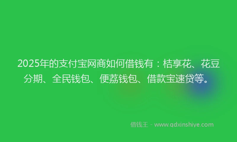 2025年的支付宝网商如何借钱有：桔享花、花豆分期、全民钱包、便荔钱包、借款宝速贷等。