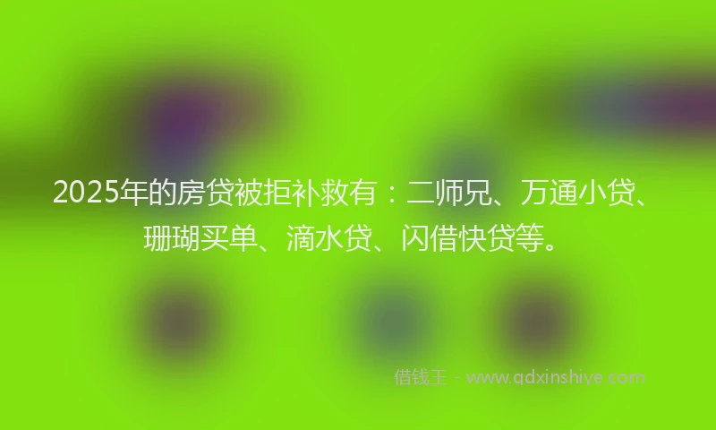 2025年的房贷被拒补救有：二师兄、万通小贷、珊瑚买单、滴水贷、闪借快贷等。