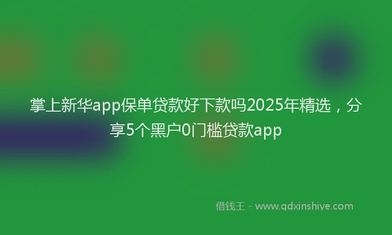 掌上新华app保单贷款好下款吗2025年精选，分享5个黑户0门槛贷款app