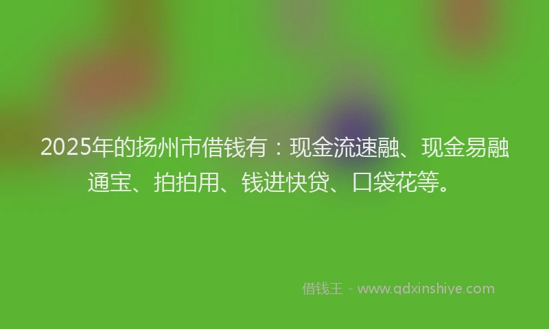 2025年的扬州市借钱有：现金流速融、现金易融通宝、拍拍用、钱进快贷、口袋花等。
