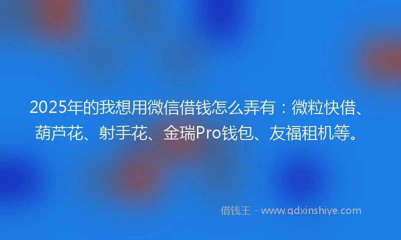 2025年的我想用微信借钱怎么弄有：微粒快借、葫芦花、射手花、金瑞Pro钱包、友福租机等。