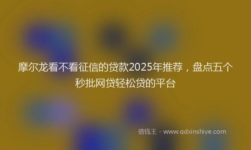 摩尔龙看不看征信的贷款2025年推荐，盘点五个秒批网贷轻松贷的平台
