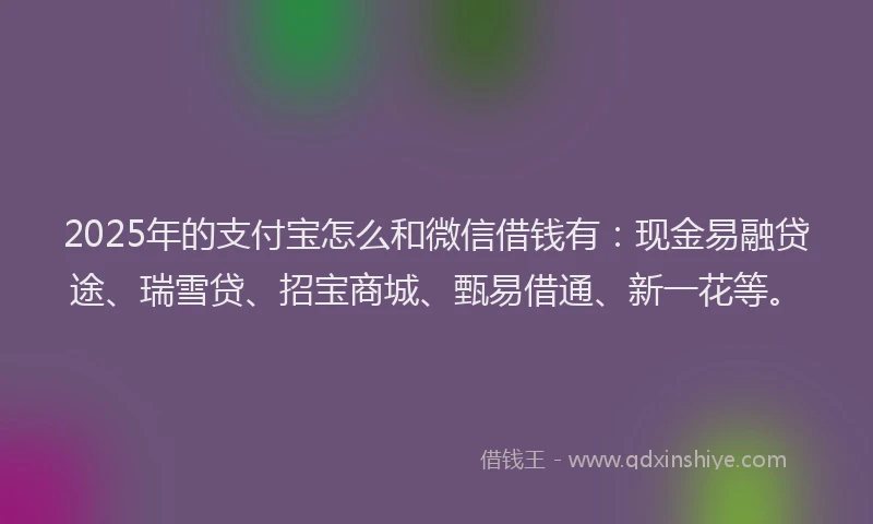 2025年的支付宝怎么和微信借钱有：现金易融贷途、瑞雪贷、招宝商城、甄易借通、新一花等。