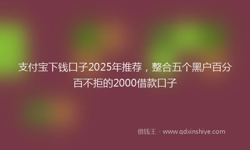 支付宝下钱口子2025年推荐，整合五个黑户百分百不拒的2000借款口子