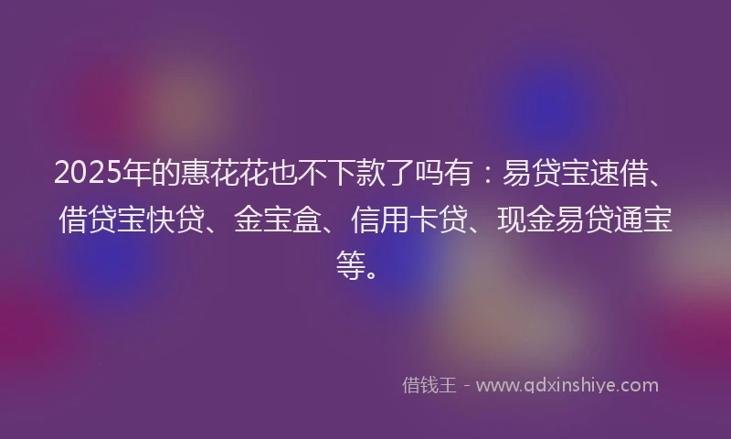 2025年的惠花花也不下款了吗有：易贷宝速借、借贷宝快贷、金宝盒、信用卡贷、现金易贷通宝等。