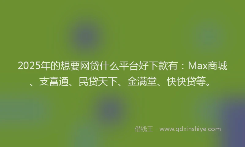 2025年的想要网贷什么平台好下款有：Max商城、支富通、民贷天下、金满堂、快快贷等。