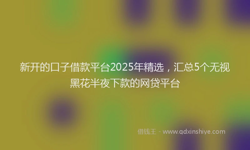 新开的口子借款平台2025年精选，汇总5个无视黑花半夜下款的网贷平台